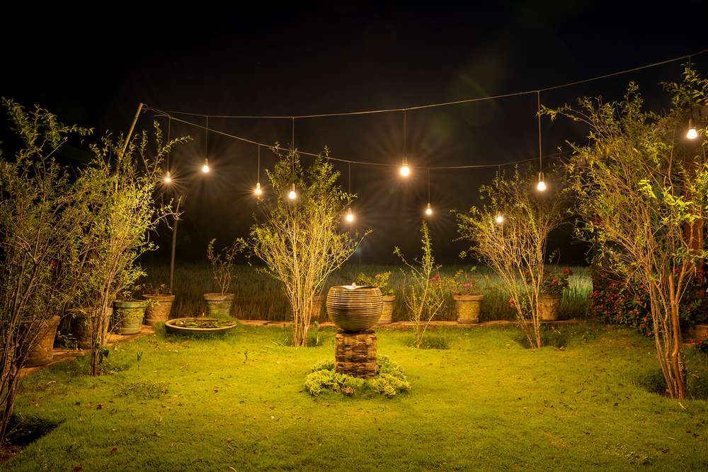 Dining image 10