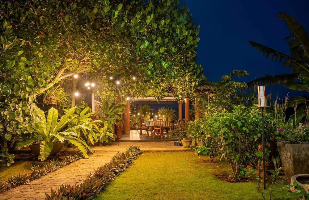 Dining image 11