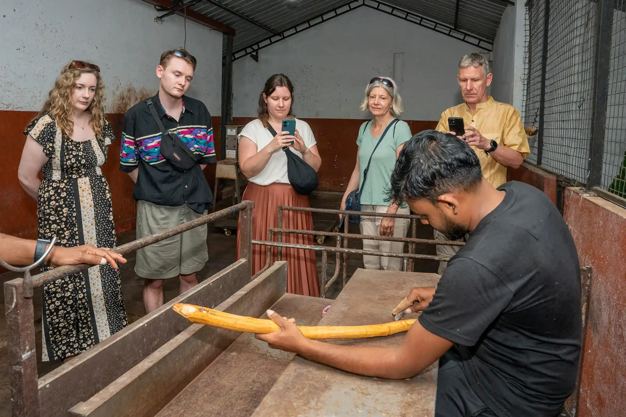 Cinnamon being prepared at the onsite processing centre