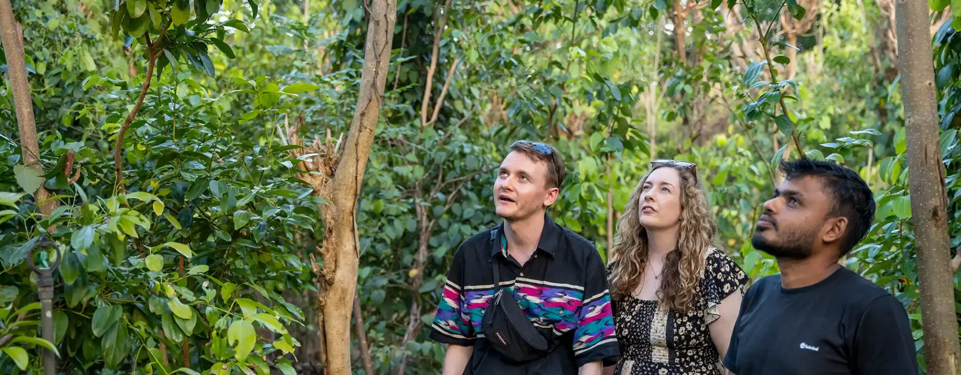 Bird watching in the natural surroundings of Mailagama